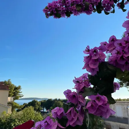 Maxim Διαμέρισμα *