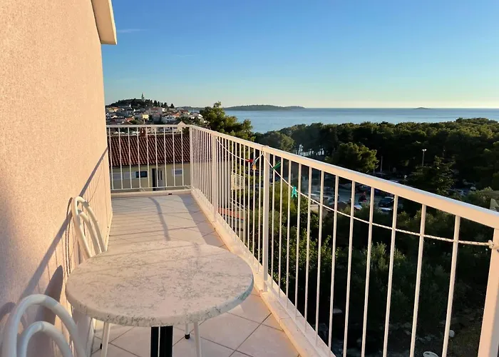 Maxim 프리모스턴